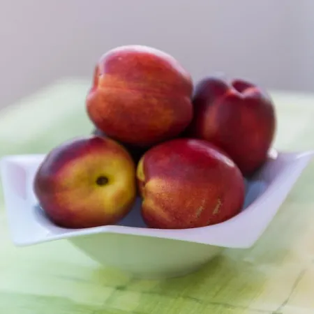 Leo's 게스트하우스 3*