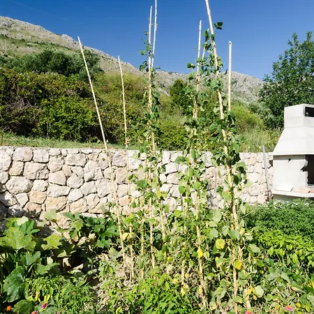 게스트하우스 Leo's 3*