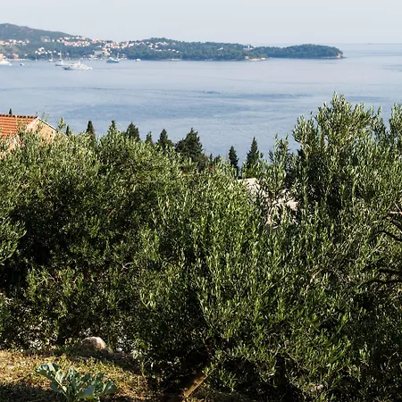 Leo's ゲストハウス ムリニ