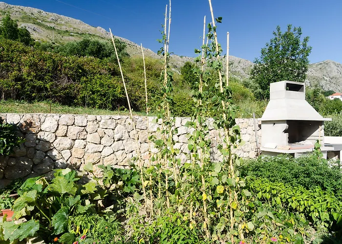 ゲストハウス Leo's 3*