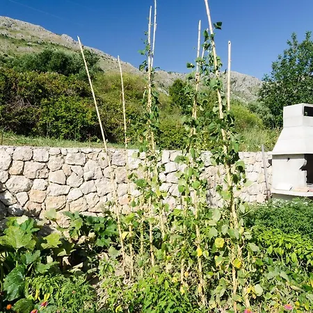 Casa de hóspedes Leo's Mlini